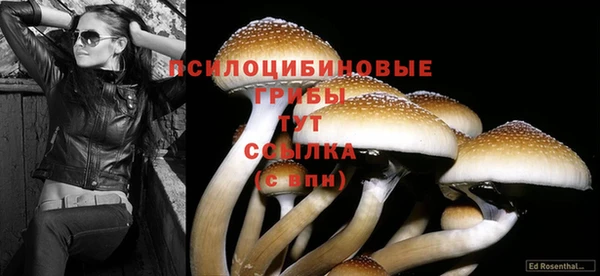 амф Бородино