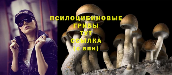 mdpv Бугульма