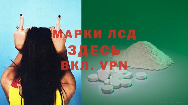 амф Бородино