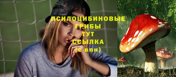 хмурый Бронницы