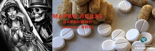 амф Бородино