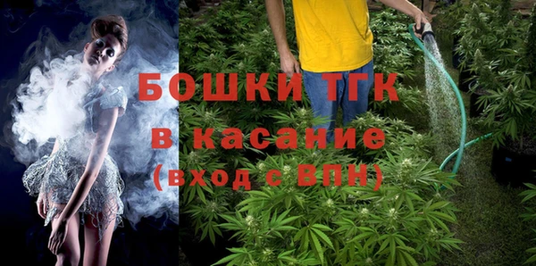 амф Бородино