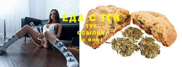 амф Бородино
